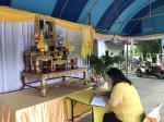 ปลูกและขยายพันธุ์ ต้นรวงผึ้ง